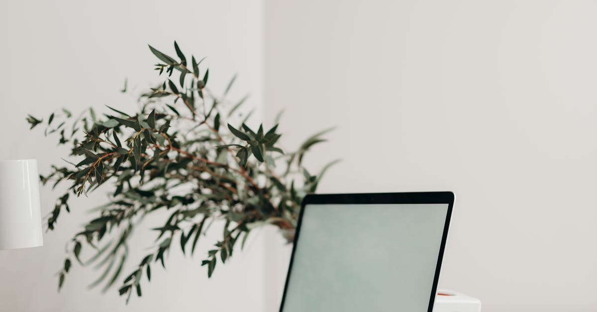 What to Expect During a Medical Botox Procedure